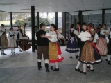 Karlovarská svita